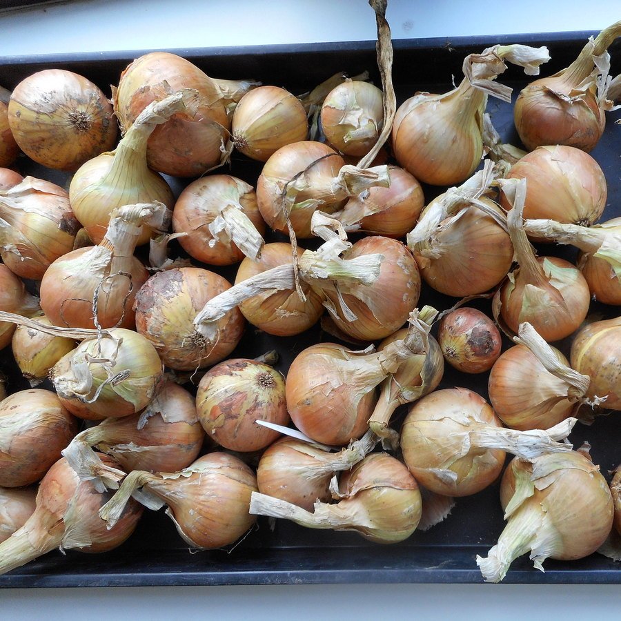 Кракен рабочая ссылка